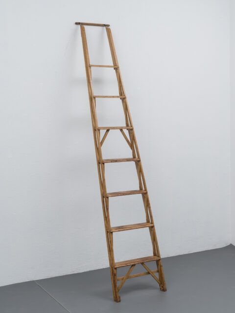 Wooden library ladder