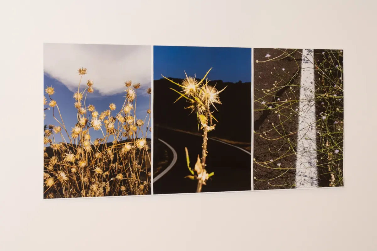 3 photographs by fabrizio vatieri at 1+1 gallery showroom, biennale arte 2026, venice