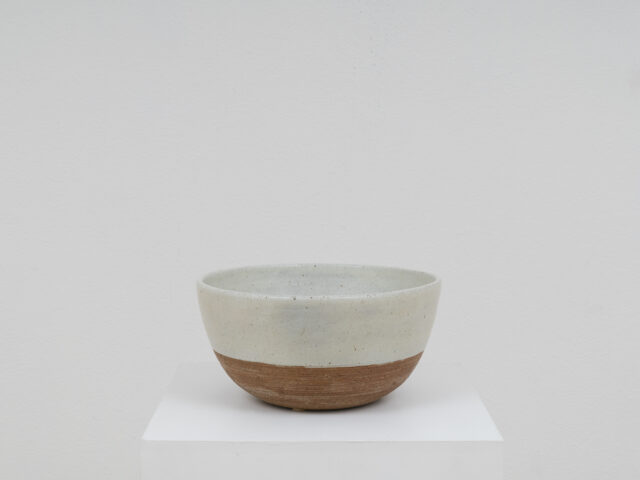 Large ceramic bowl