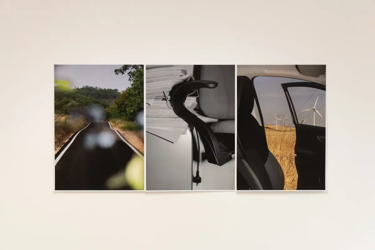 photographs by fabrizio vatieri at 1+1 gallery showroom, biennale arte 2026, venice